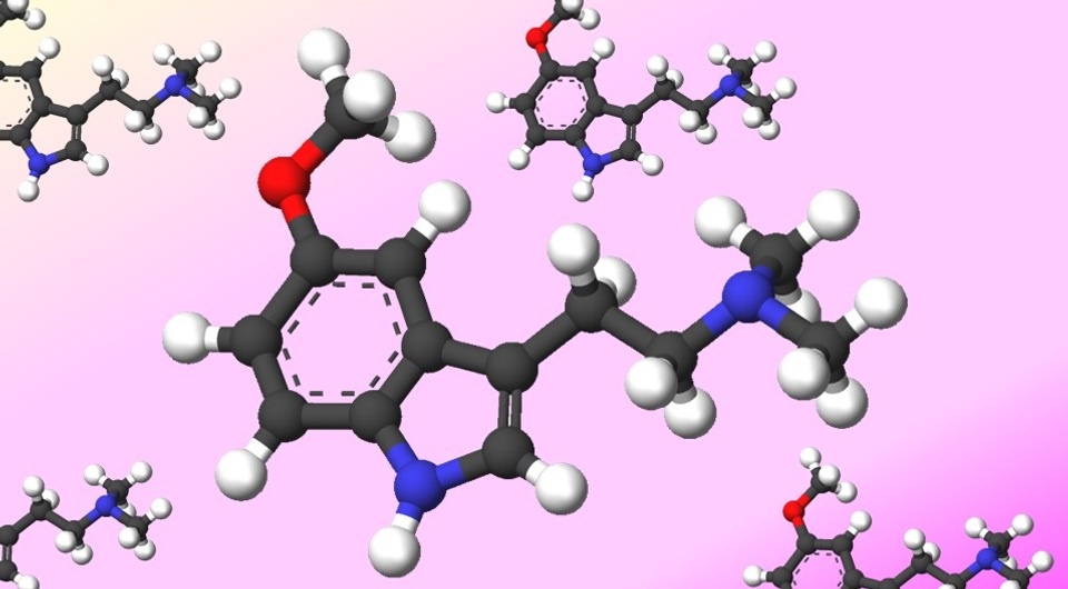   Sbrools / Wikimedia Commons / CC-BY-SA-3.0