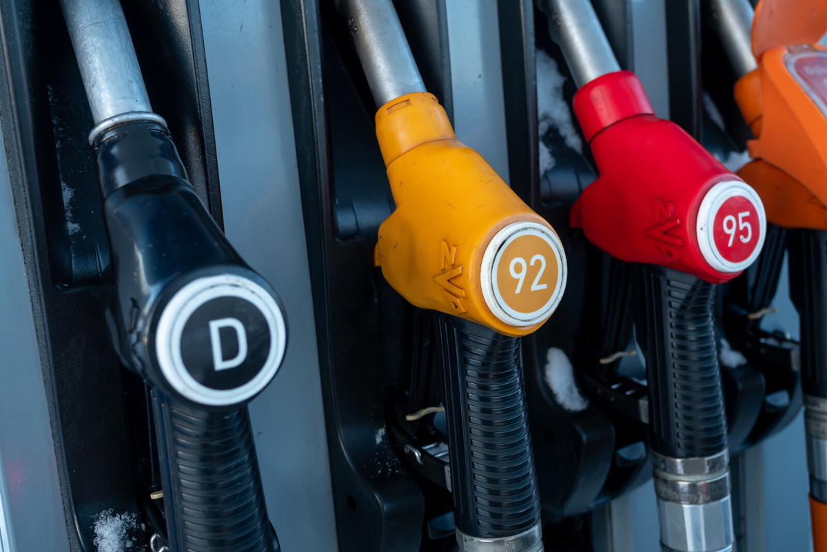 Фото: Олег Золото / «Петербургский дневник»