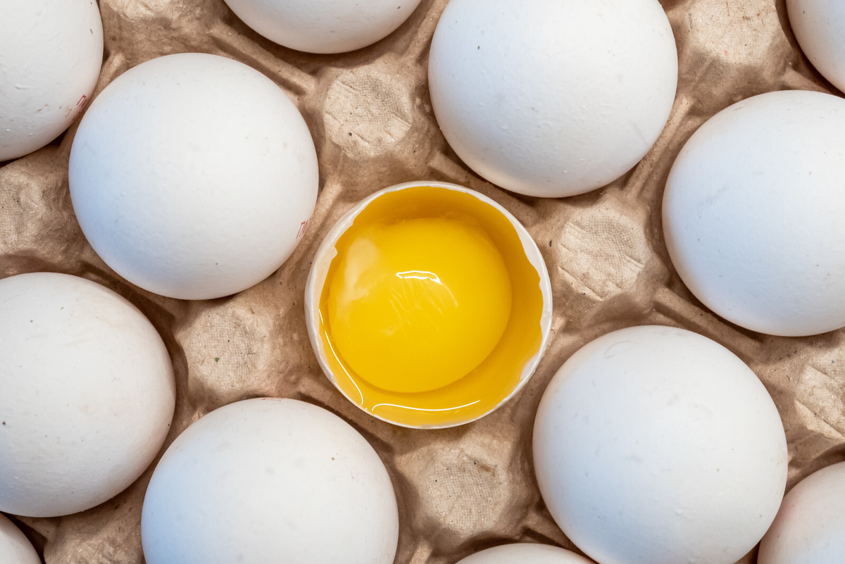 Фото: Олег Золото