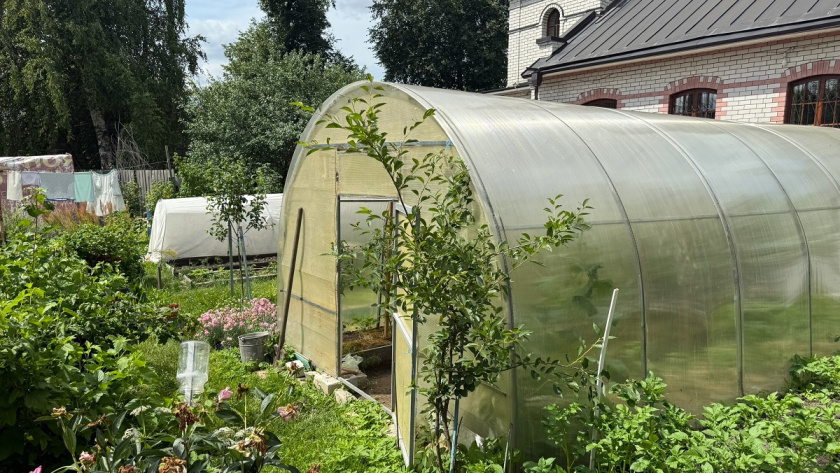    Из архива редакции