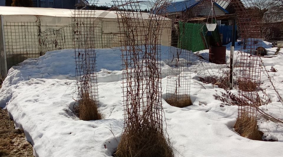 Намедни: весна идет, весне дорогу!