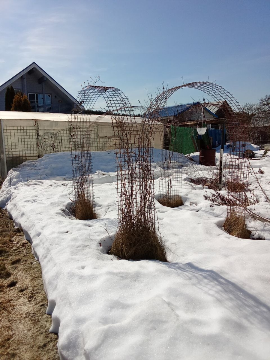 Личное фото