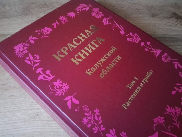     Фото: Сергей Алексеев