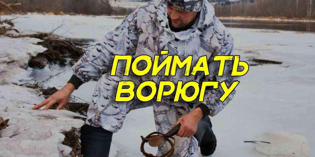 Что северные охотники делают с теми, кто ворует из их капканов. Дед по полочкам разложил, что надо делать, если поймал воришку