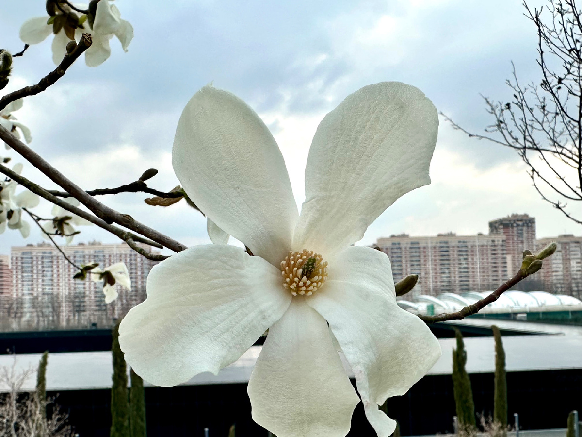 В парке Галицкого.