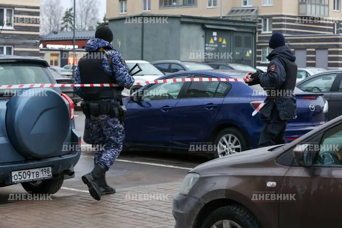 Фото: Никита Широков/«Петербургский дневник»