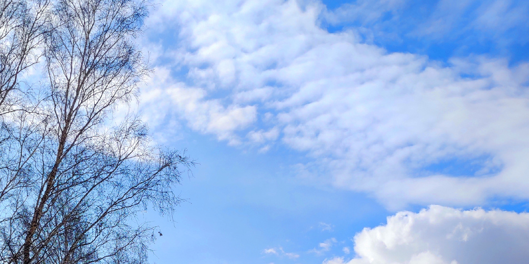 Солнечный день! Прекрасное настроение! Заказала подарки на Пасху!