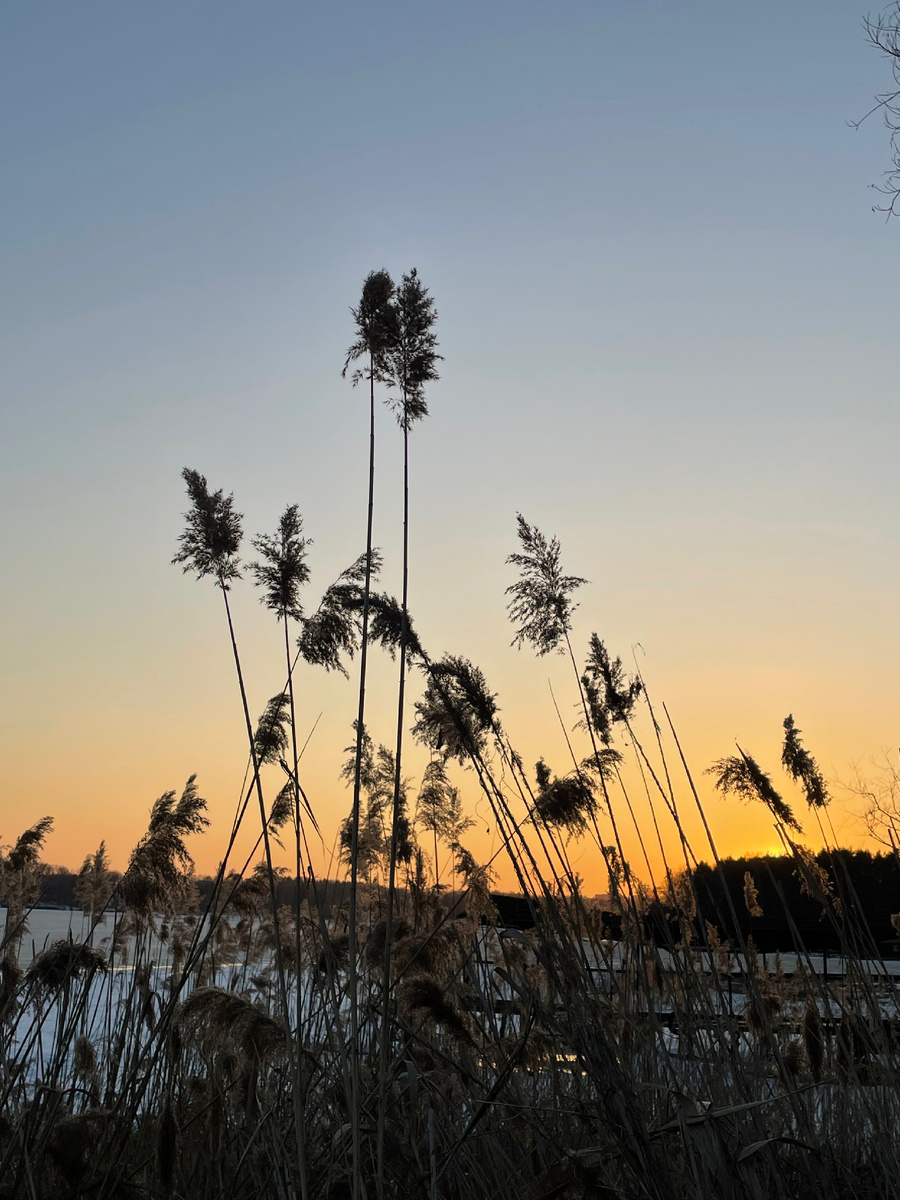 Икшанское водохранилище.