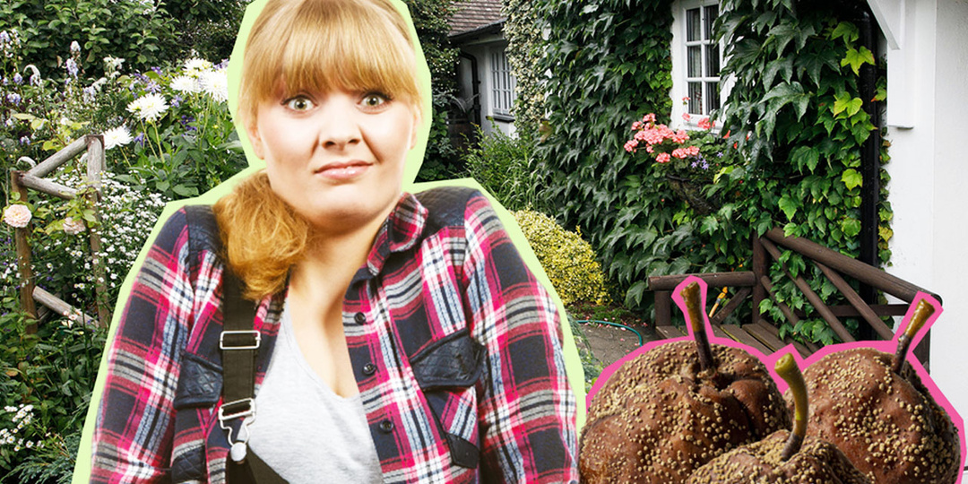 Красота с подвохом: какие растения могут разрушить ваш участок и даже дом