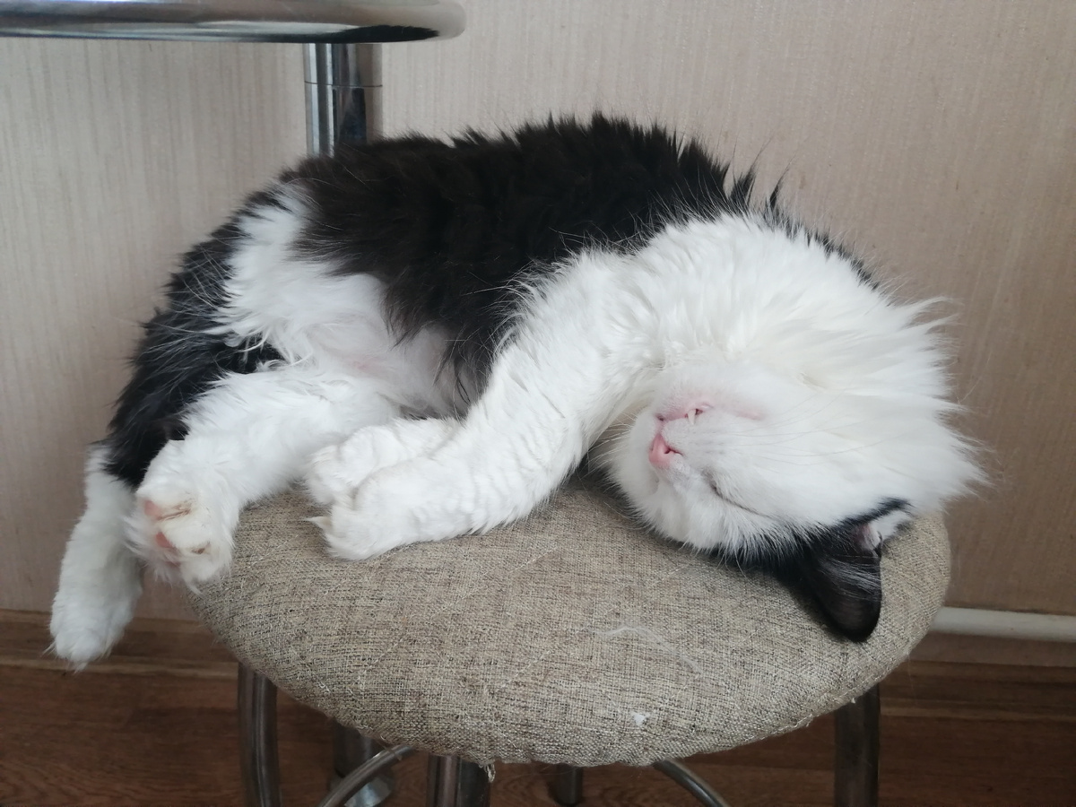 Лиза на своей табуреточке. Такая милая. 