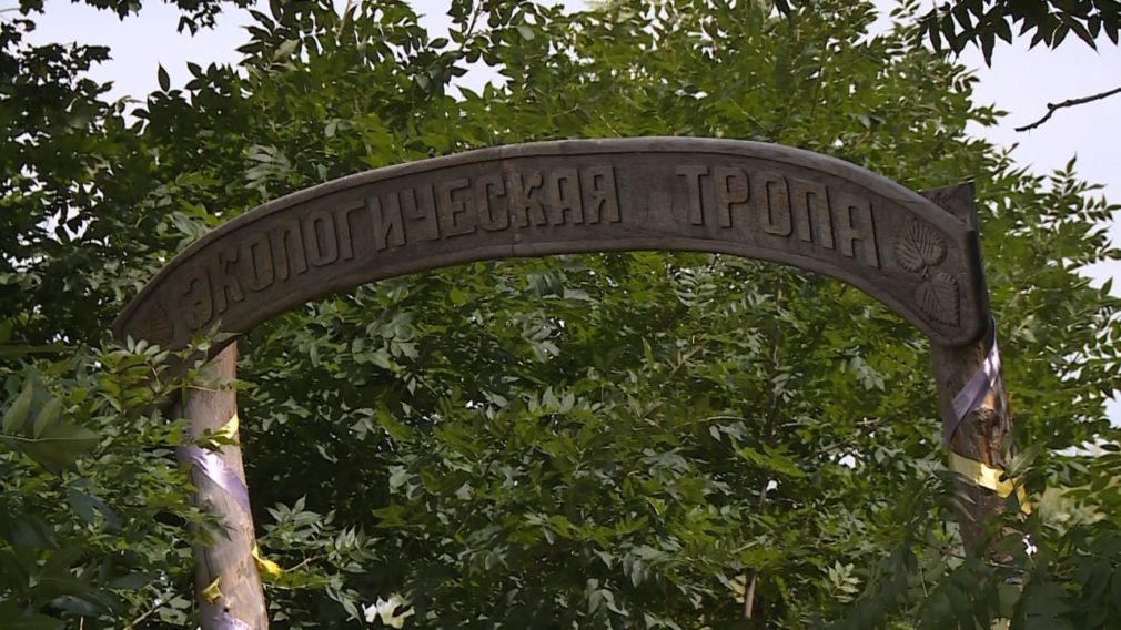    Фото: СвоёТВ Кира Лютова
