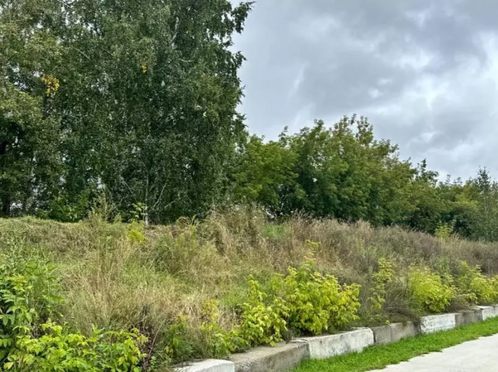 Первый этап благоустройства парка Чербузы перенесли на год