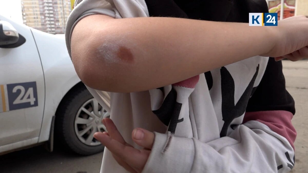    Скриншот видео телеканала «Кубань 24»