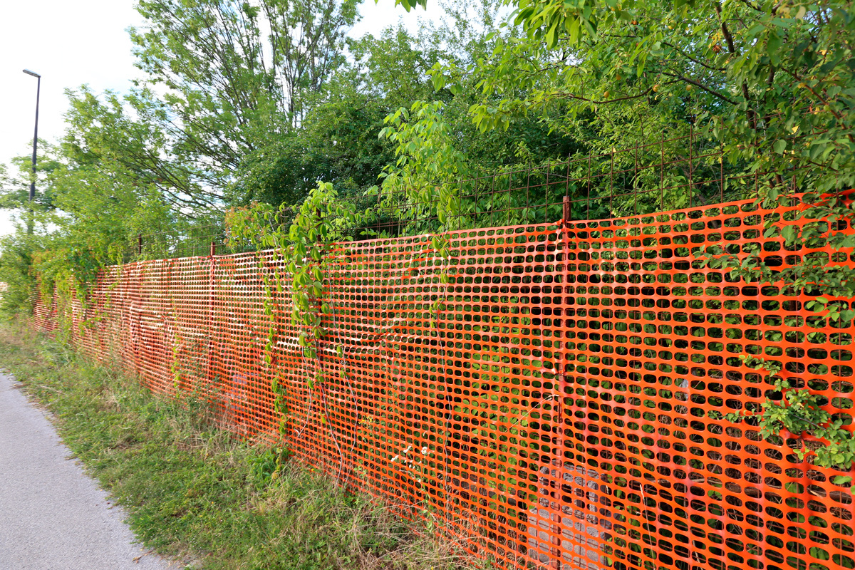    Фото: Shimon Bar / Shutterstock.com