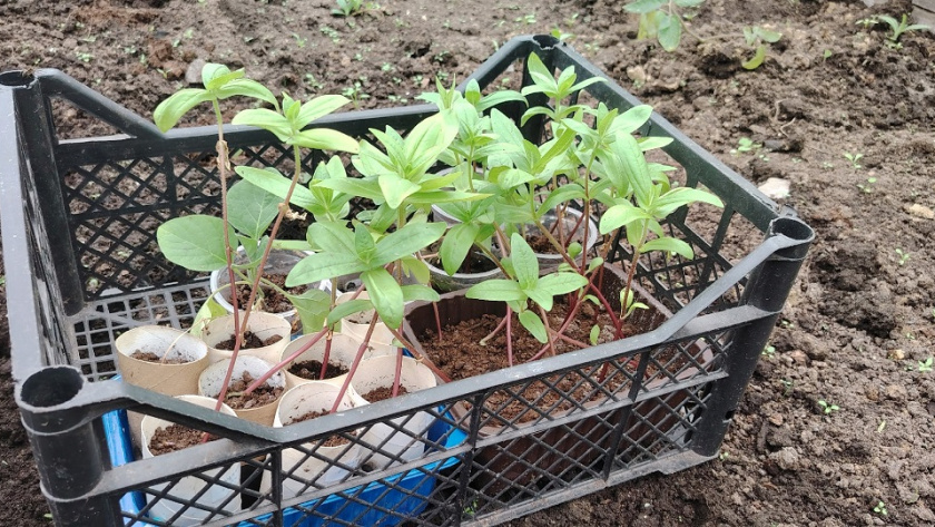    фото из архива редакции