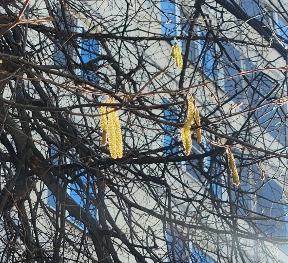 Радоваться ли нам такой тёплой погоде?