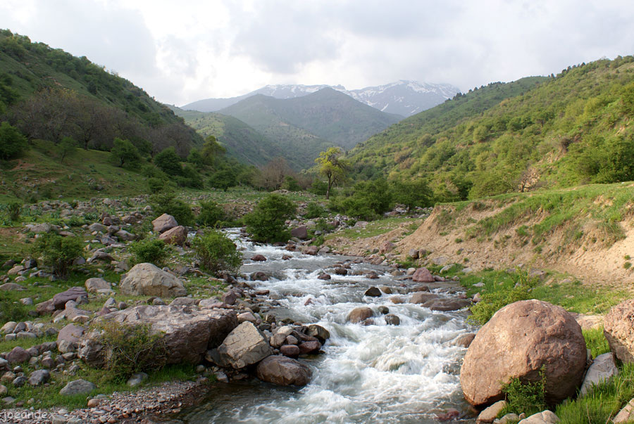 Горный сай. Западный Тянь-Шань. Хребет Каржантау. Река Каракиясай