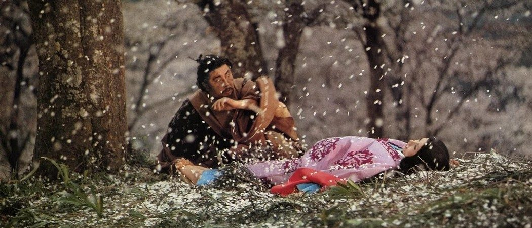 Прекрасная и одновременно ужасная: сакура в литературе 20 века