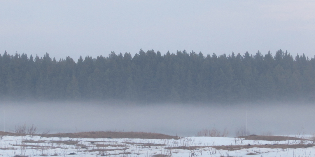 На заре я хотел бы выйти в туман