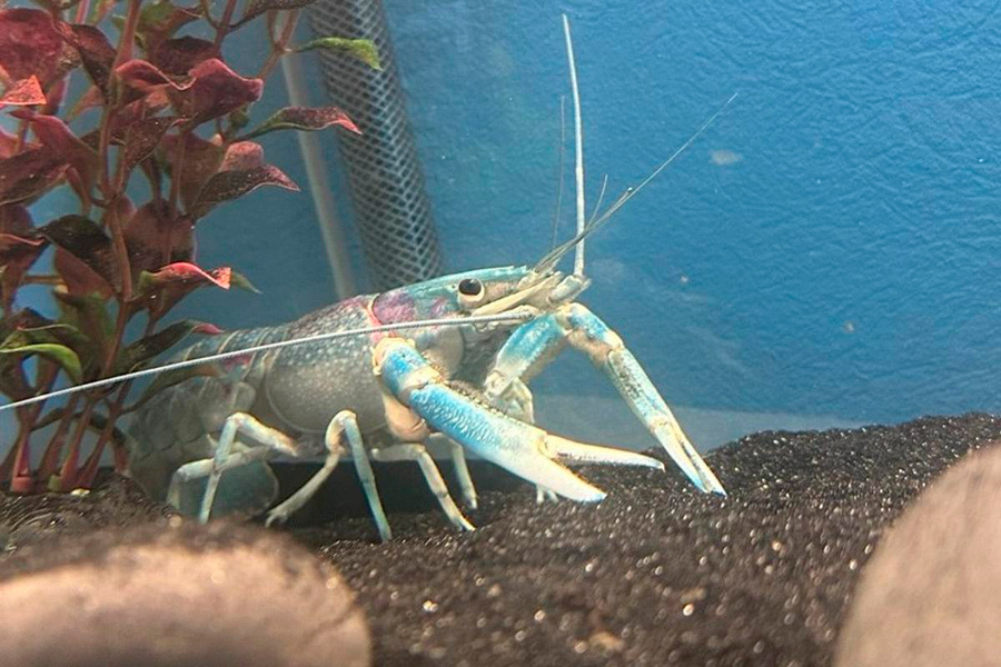    Фото: Владимир Готовчиц / Office Life