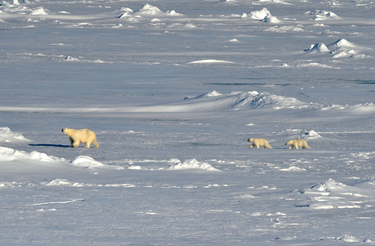 © РИА Новости // Вера Костамо