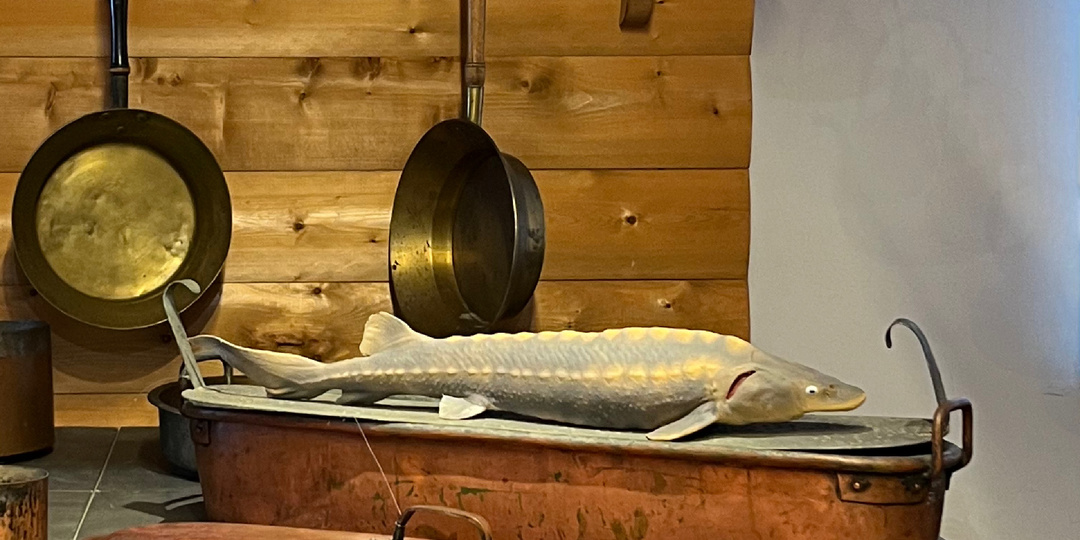 Ярославский музей-заповедник. Продолжение осмотра интересностей