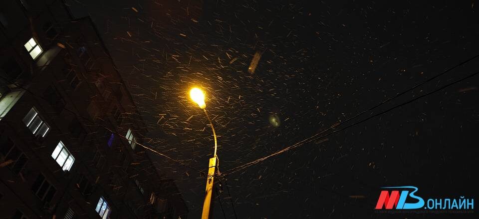    Фото: МТВ.ОНЛАЙН / Елизавета Денисова