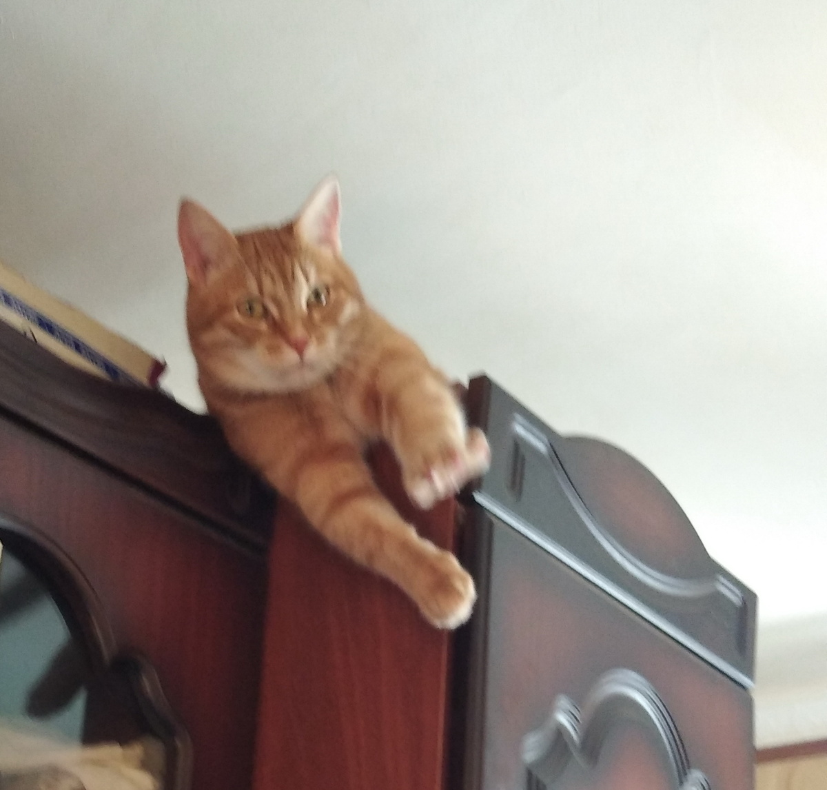 личное фото