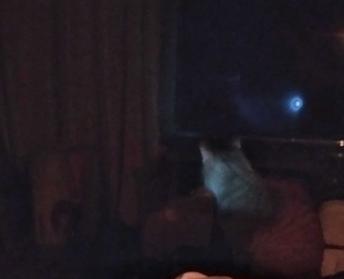 личное фото