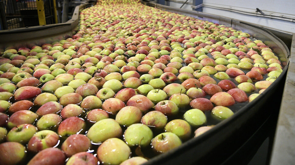 Фото: Андрей Архипов / Коммерсантъ