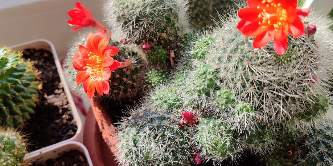 Люди не могут быть одни