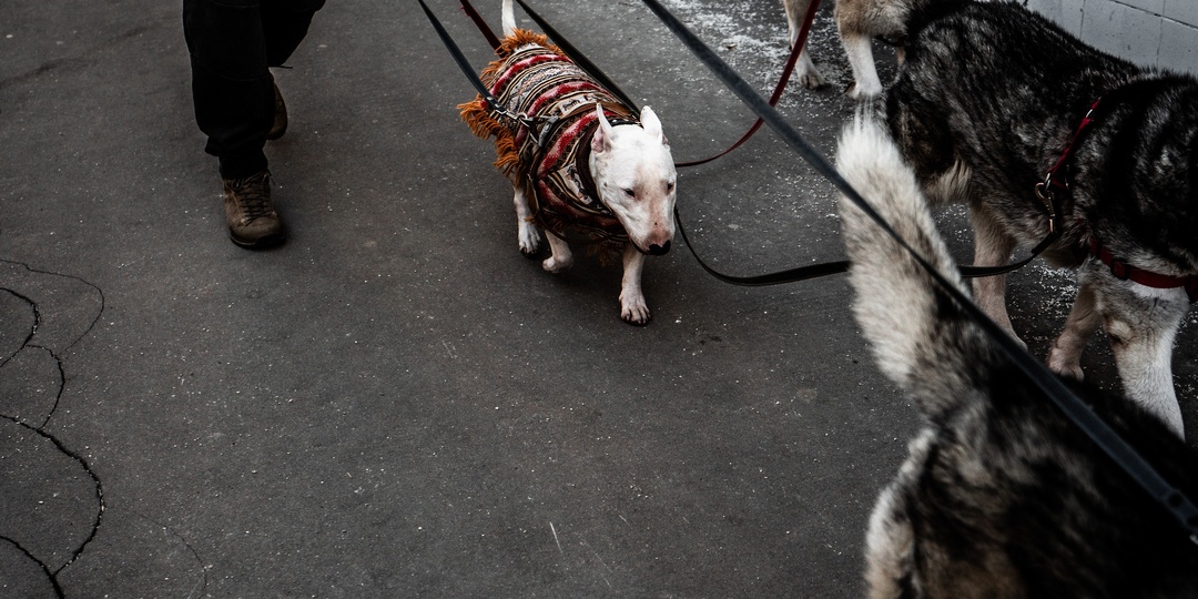 Эмоциональная Лейка