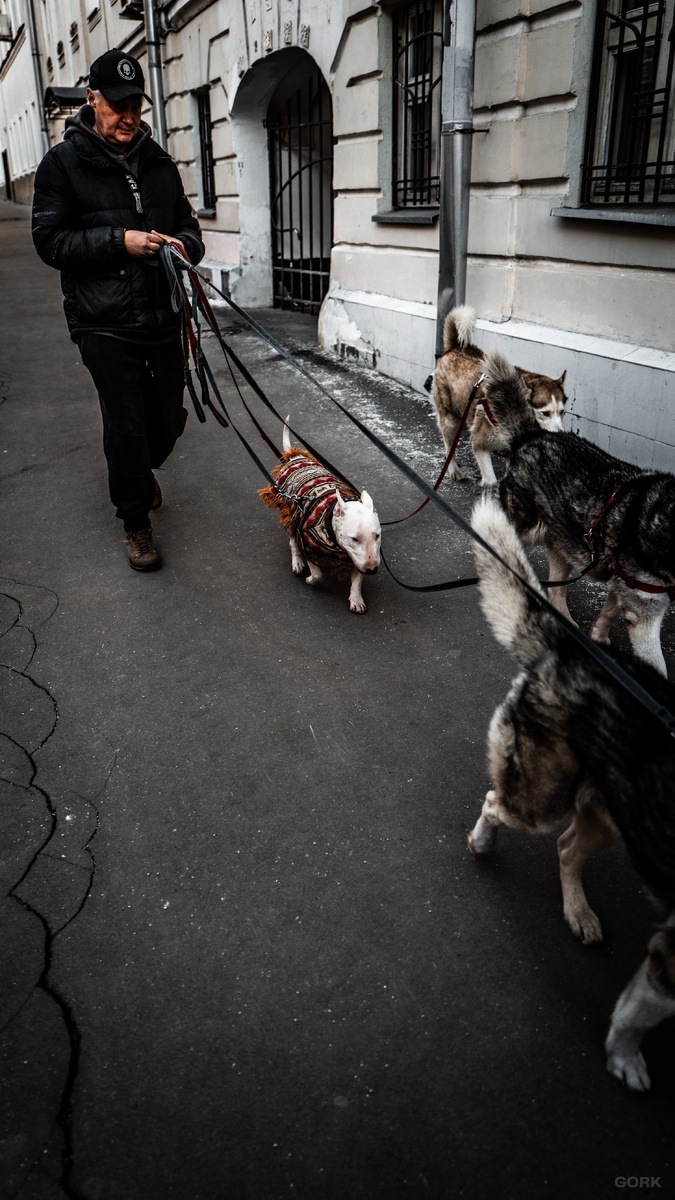 Фото: GORK | Гео: Москва, RU