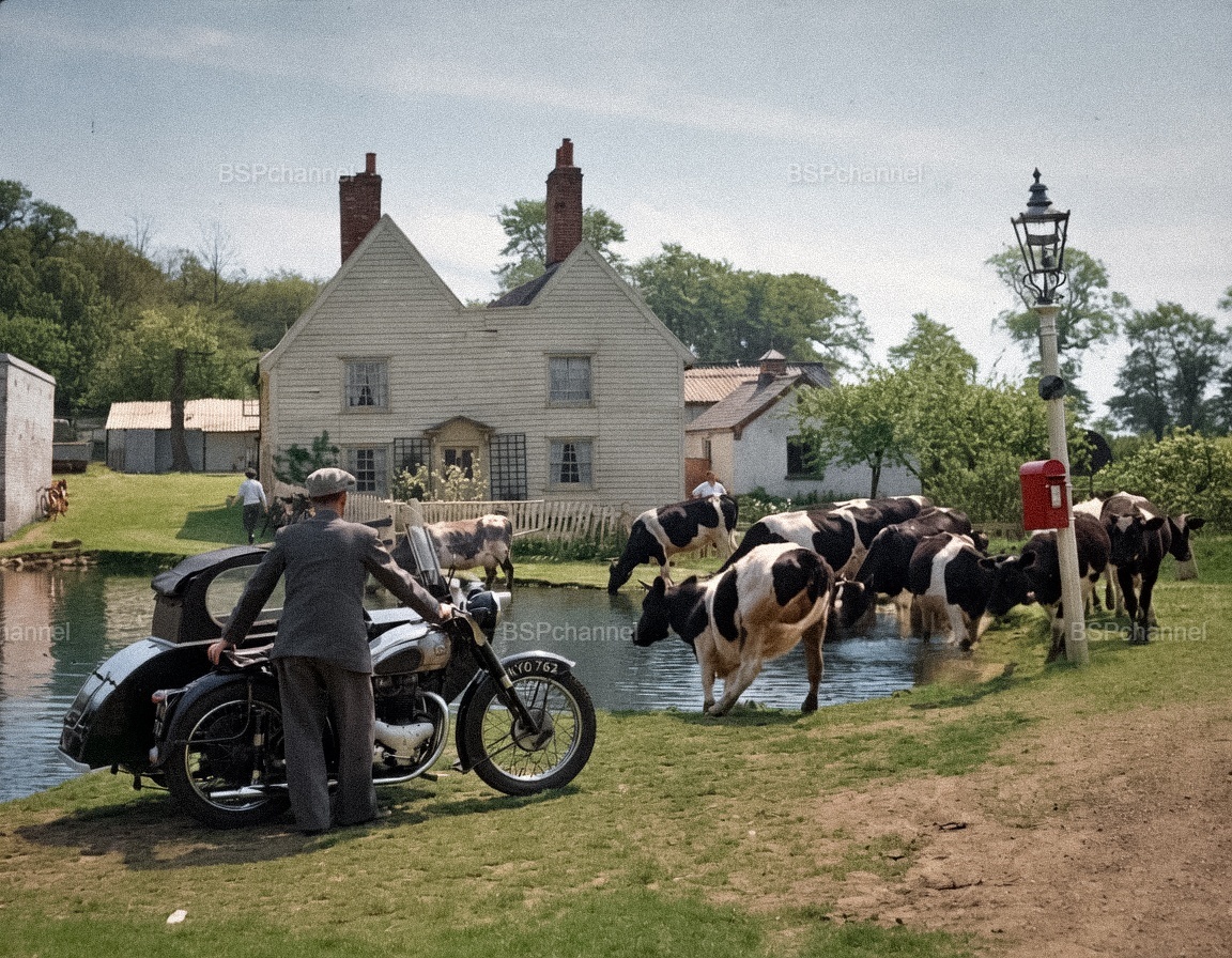 Фотограф: Дерек Бервина
