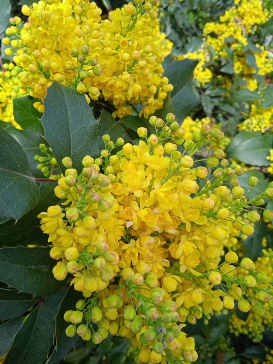 Фото автора канала.