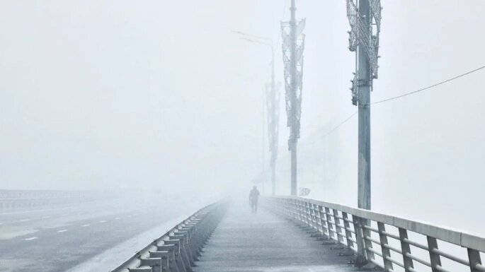    Фото: Роман Неведров