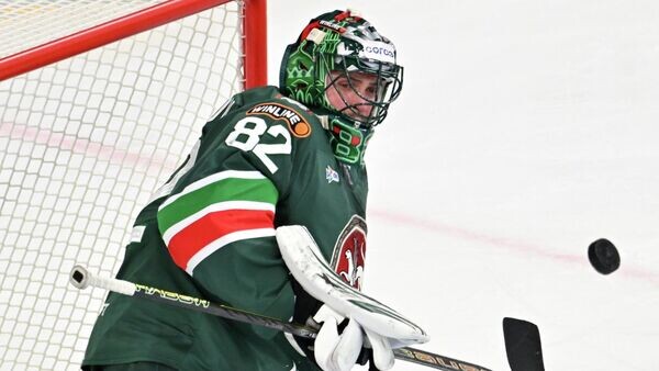    © Sputnik / Максим Богодвид