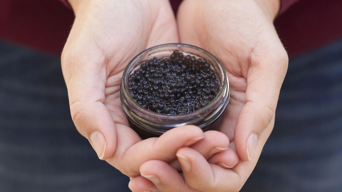    Фото: StepanPopov/Shutterstock/Fotodom