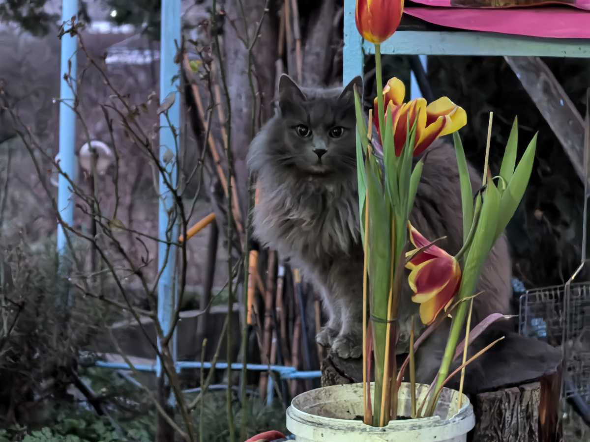 В глаза смотри