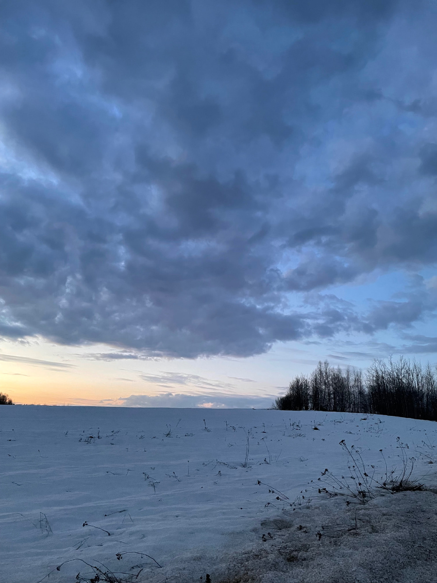 «Синий час»