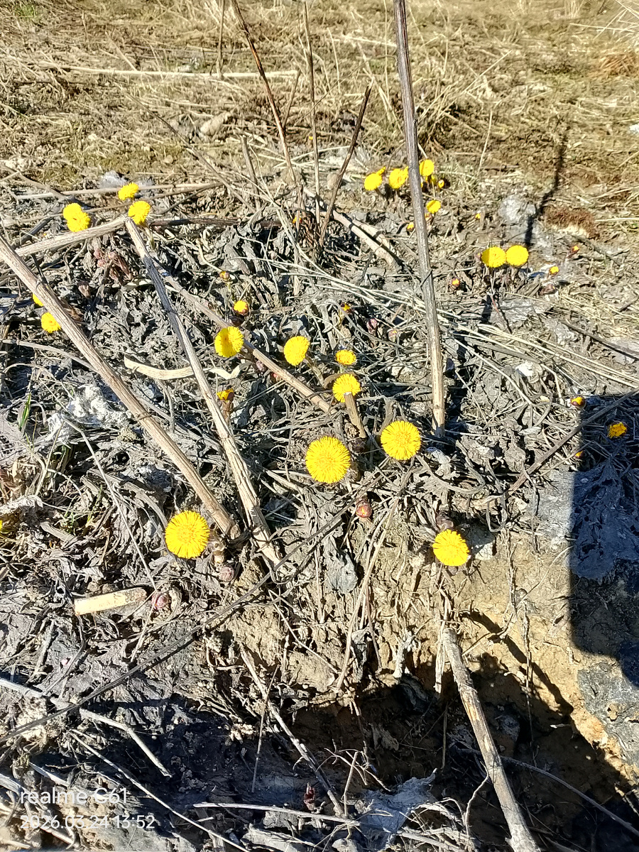 У нас весна