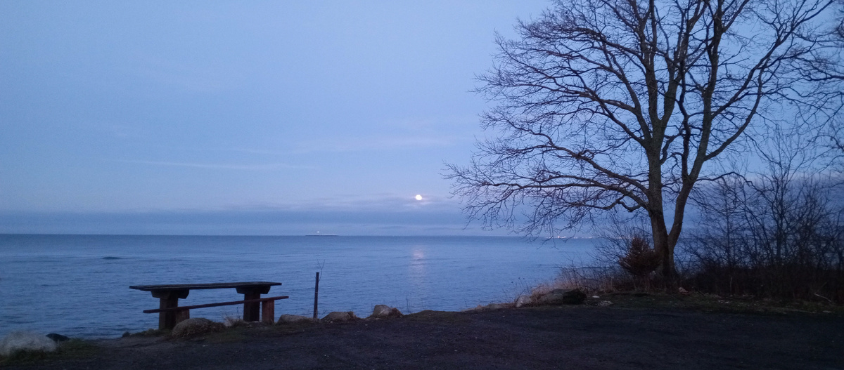 Калининградская область. Фото из личного архива