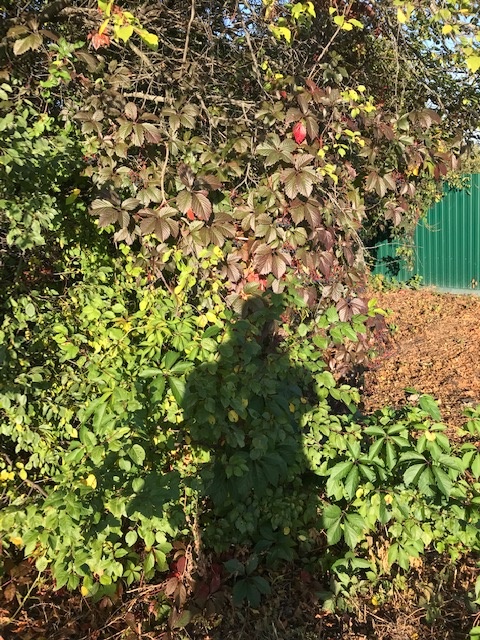 Фото из личного архива