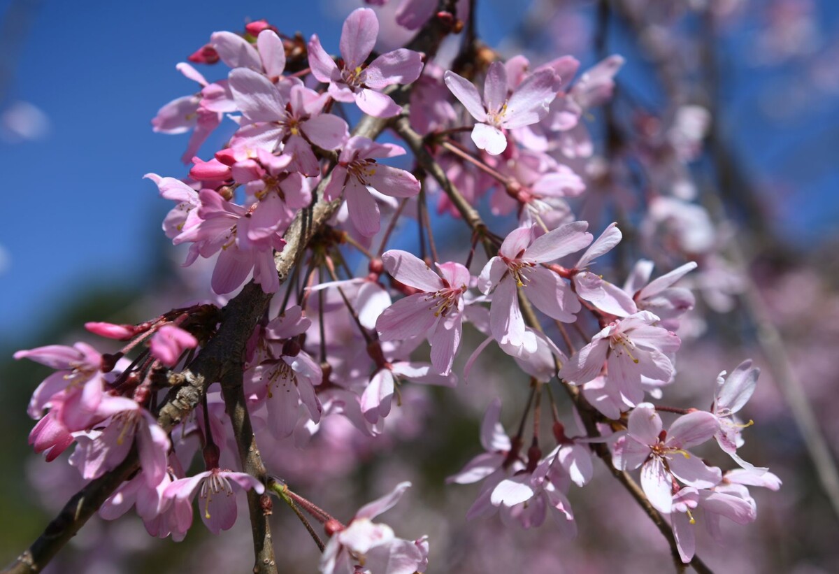 © РИА Новости // Екатерина Лызлова