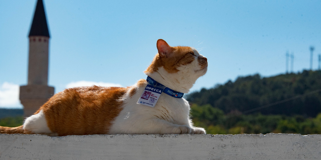 Путевые заметки кота Мостика: что посмотреть в Бахчисарае за один день