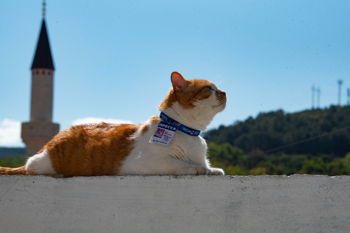 Я в предвкушении восточной сказки