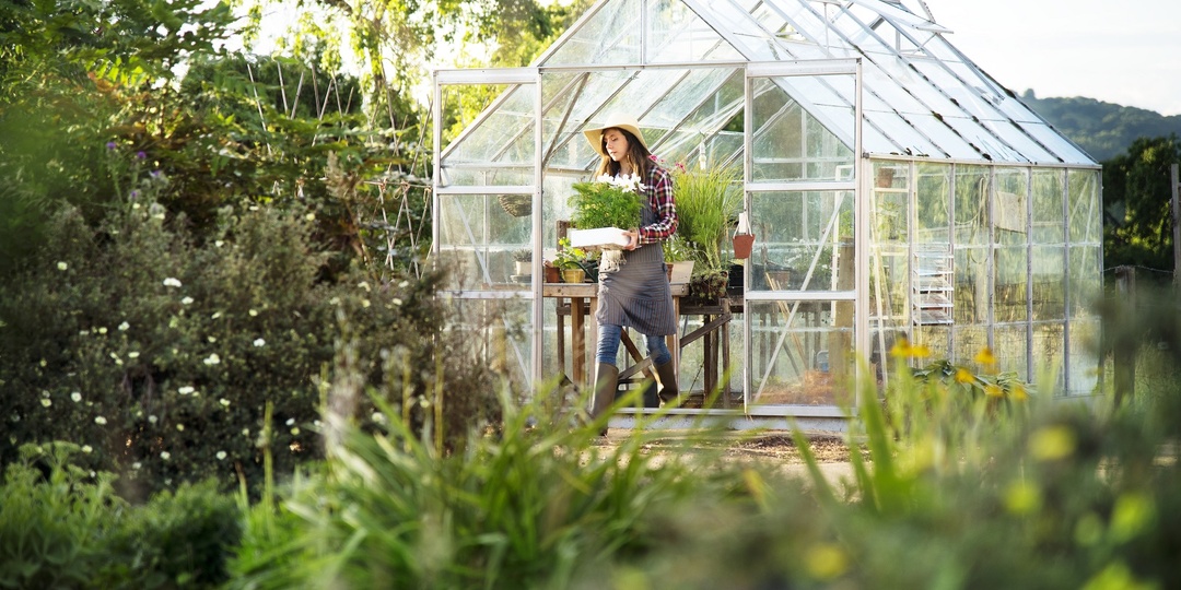 Садовод рассказала, как правильно подготовить теплицу к дачному сезону