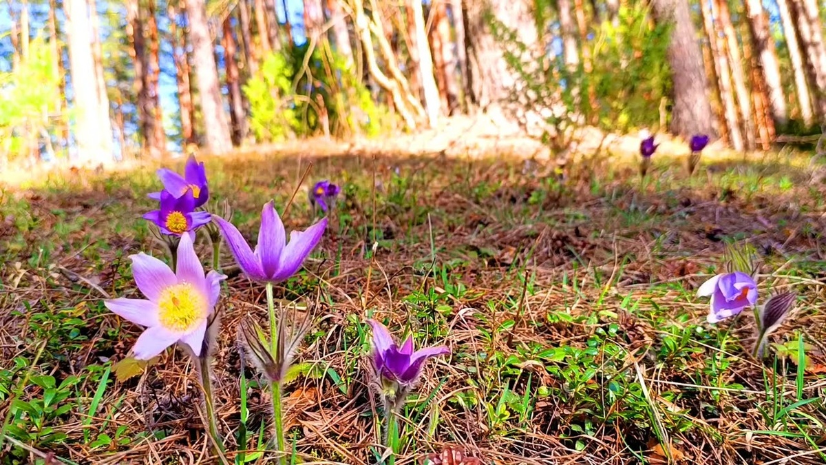 Владелец фото: Яндекс Картинки