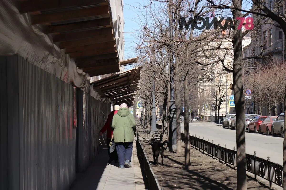    Жанровое фото: Мойка78.