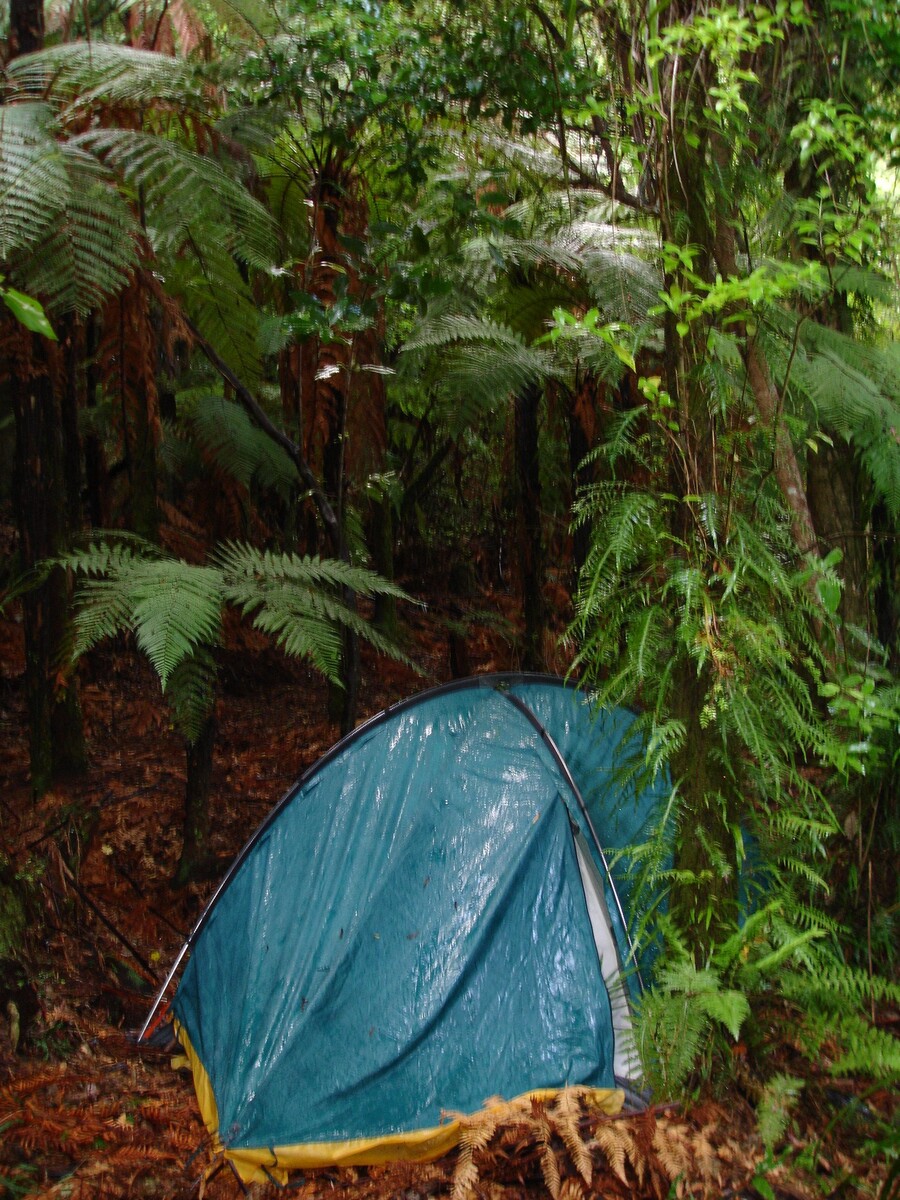 Палатка начинается с дуги: экспертно о самом важном элементе вашей палатки